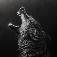 Ionut13
