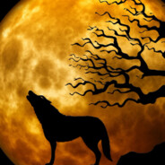 Black_Wolf (PL)