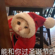 小饼干
