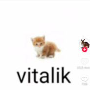 vitalik