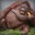 Group Avatar