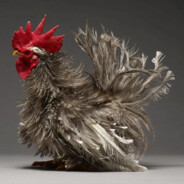 Clodo Coq de Roche's Avatar