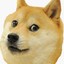 Doge
