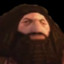 Ps1 Hagrid