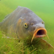 Fishmain