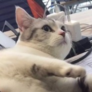 海绵