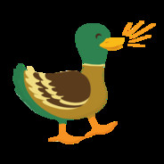 spruceduck