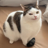 PineappleSan