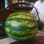 боевой еблан