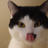 Аватар сообщества Steam