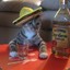 Tequila Cat