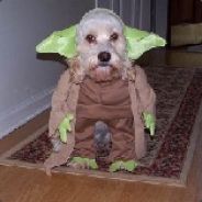 Baertiger - steam id 76561197961397970