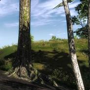 Rodhart