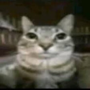 Are