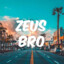 Zeus Bro