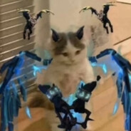 Eljy¦光は光であり、闇