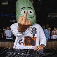 DJPickle