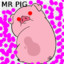 mr pig