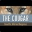 Mark Cougar
