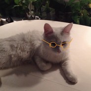 Loki