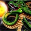 Shenron