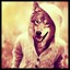 WOLF_058