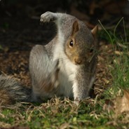 SuperDrunkenSquirrel