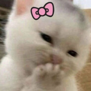 𝖋𝖎𝖔𝖓𝖆⭒