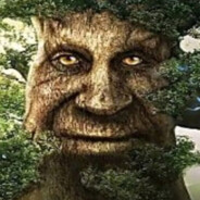 дуб