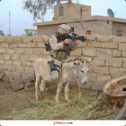 Crazy_iT - steam id 76561197968192344