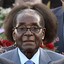 Dear_Leader_Mugabe