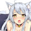 2do raid de tiger
