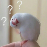 mmr feeder