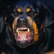 Pedraow | CSGOPoints.com