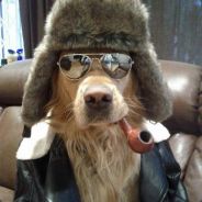 Brödrim Degovic's Avatar