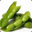 •O.P•&quot;~Edamame