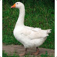 White Goose