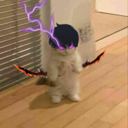 Vqku7