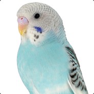 The Parakeet God