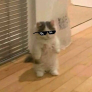 TOM NUKE NPC (◣_◢) #wavy
