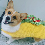 The-dog-Taco's Avatar