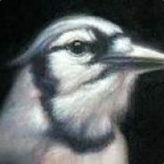 xXBluJayXx