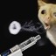 Vapour kitten 420 eskeetit