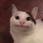 Meow