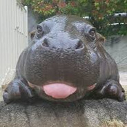 Kozioł