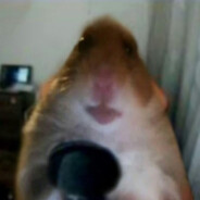 Hammy ♿