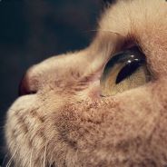 m1ka_mouz