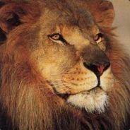+FiliP - steam id 76561197961462630