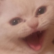 Catfield