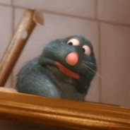 The Rat